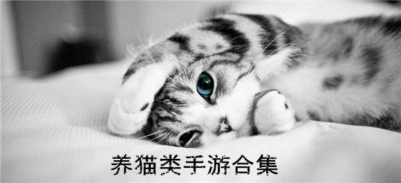 养猫系列游戏推荐