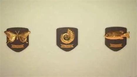 动物之森博物馆日活动怎么玩 动物之森博物馆日活动怎么玩