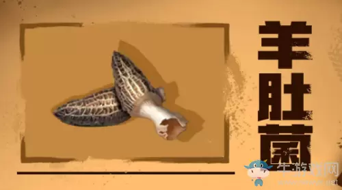 《明日之后》羊肚菌获得方法介绍