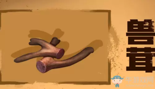 《明日之后》兽茸获得方法介绍