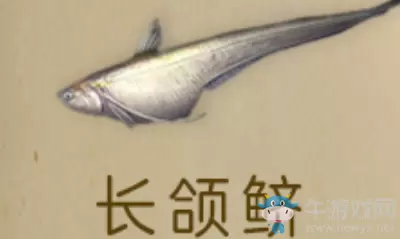 《明日之后》长颌鲚获得方法介绍