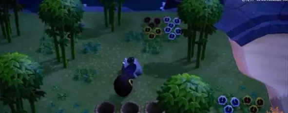 动物森友会铁矿石多久刷新