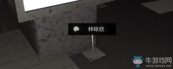 《孙美琪疑案：金凤凰》5级线索林咏欣介绍