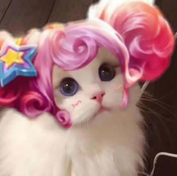 王者荣耀猫咪头像