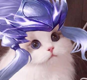 王者荣耀猫咪头像