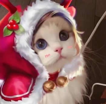 王者荣耀猫咪头像