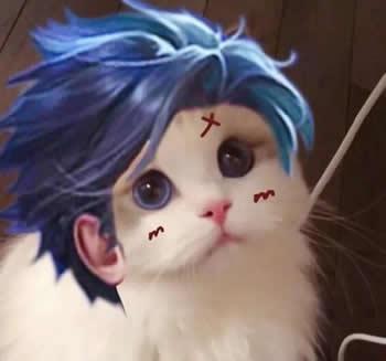 王者荣耀猫咪头像