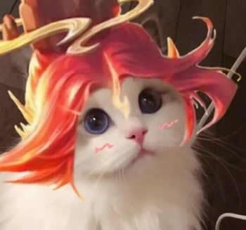王者荣耀猫咪头像
