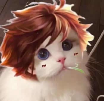 王者荣耀猫咪头像