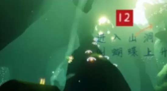 光遇雨林光之翼位置