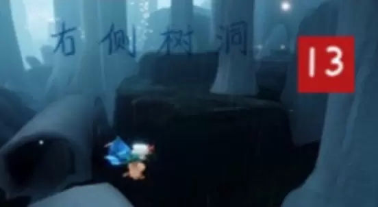 光遇雨林光之翼位置