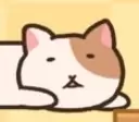 延长的猫