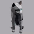 猫咪疾走