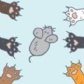 抖音砰砰猫