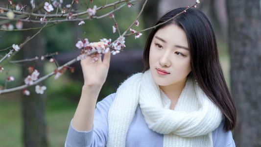绿巨人app下载污版合集