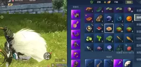 妄想山海长生果油怎么获得