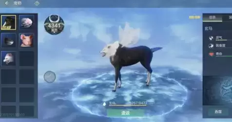 妄想山海玄马怎么进化天马