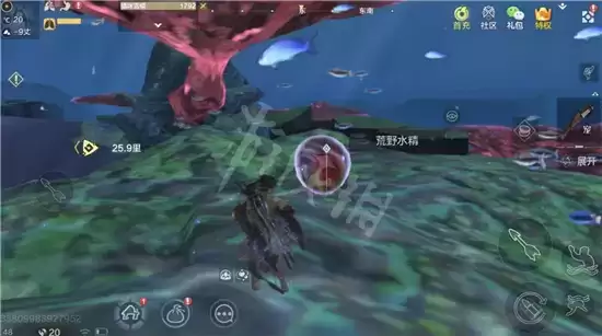 妄想山海碧水珠采集攻略 碧水珠如何采集