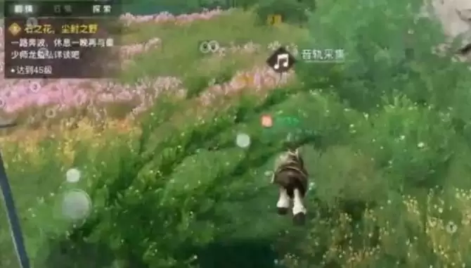 天谕手游课堂展示二昆虫在哪?课堂展示二昆虫声音收集攻略流程图片2