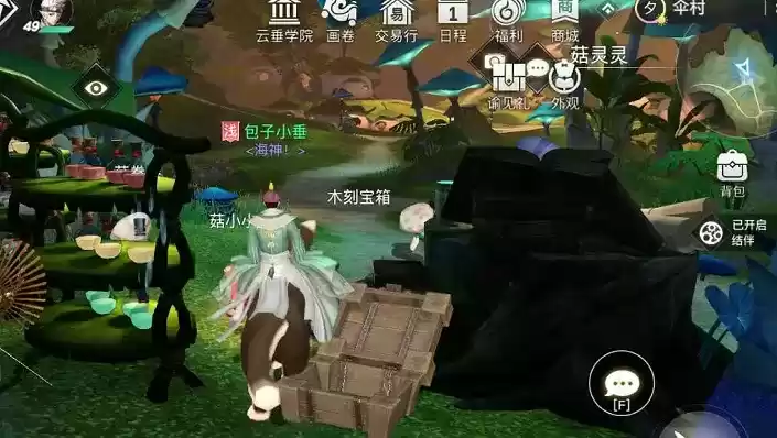 天谕手游伞村宝箱最新坐标大全