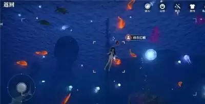 天谕手游汐愿之海鱼类分布介绍 汐愿之海鱼类分布位置分享图片7