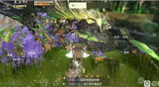 妄想山海千年炎蝠怎么样