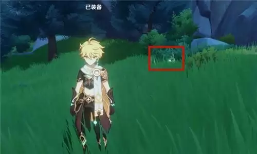 原神风种子位置_6 原神风种子位置