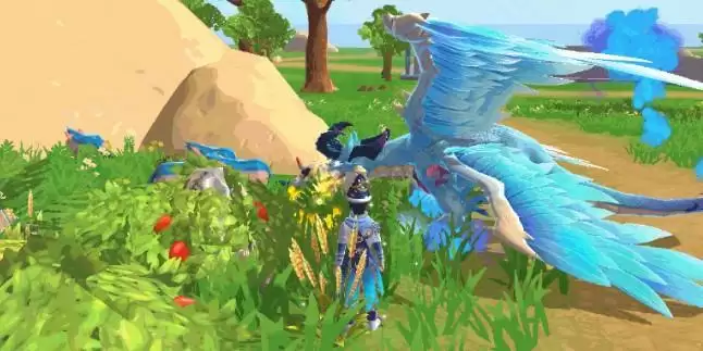 创造与魔法夕阳花在哪？夕阳花位置介绍图片1