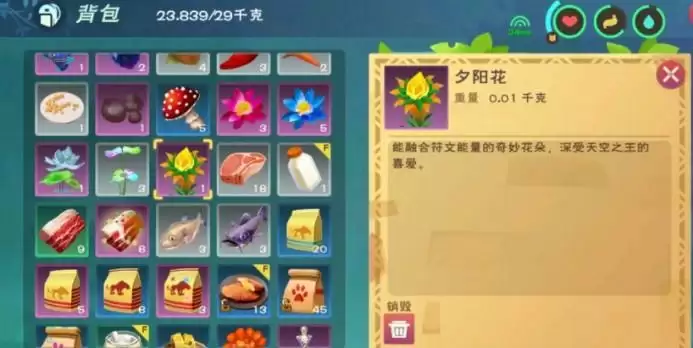 创造与魔法夕阳花在哪？夕阳花位置介绍图片2