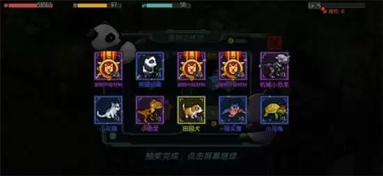 像素危城宠物强化方法一览 宠物如何强化