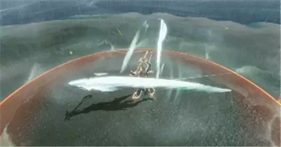 天涯明月刀手游心剑战境打法指南 心剑战境怎么打