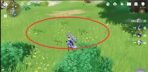 原神白萝卜在哪里获得