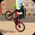 BMX自行车滑轮