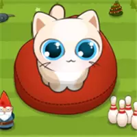 养只猫领