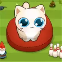 养只猫领