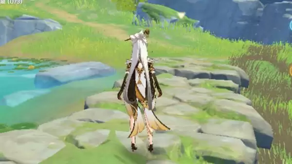 原神天遒宝迹任务怎么完成 天遒宝迹3个藏宝地位置大全图片5