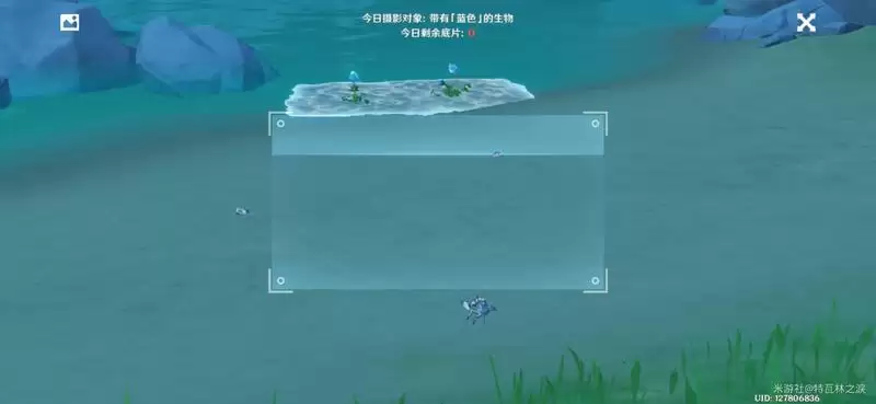 原神福至五彩蓝色采集物及珀照地点大全