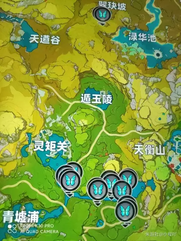 原神福至五彩蓝色采集物及珀照地点大全