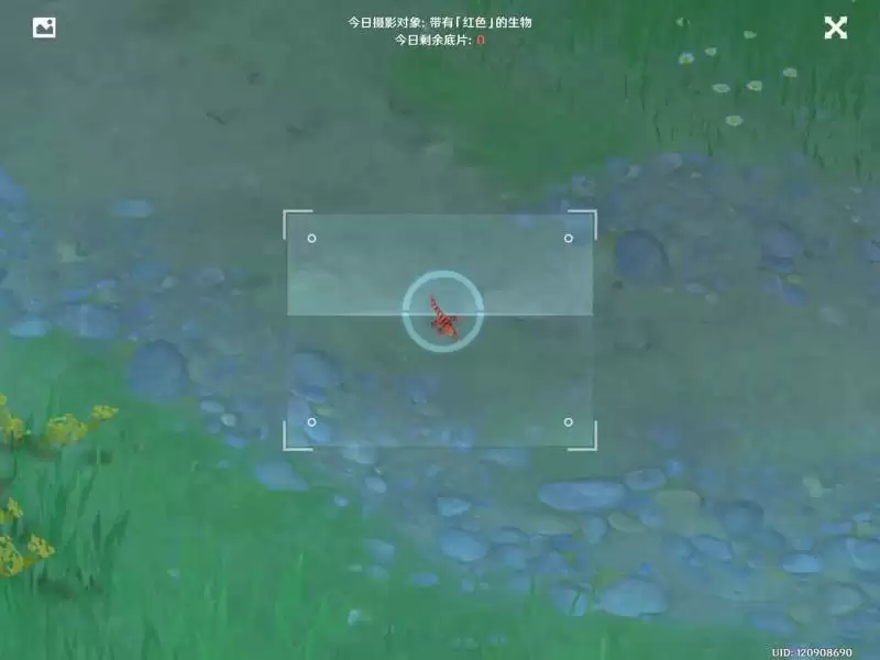 原神福至五彩第三天珀照攻略 红色的生物珀摄大全