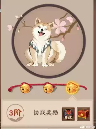 阴阳师宠物协战奖励怎么获取