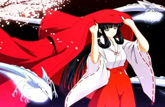 image.webp image.webp