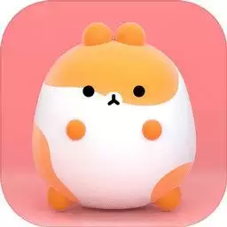 盲盒收藏家