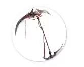 《三国志幻想大陆》张春华锦绣霓裳皮肤图鉴一览