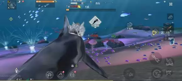 《妄想山海》石镜鱼位置介绍