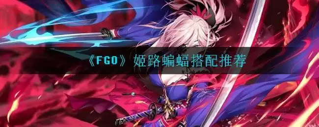 《FGO》姬路蝙蝠搭配推荐