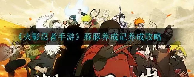 《火影忍者手游》豚豚养成记养成攻略