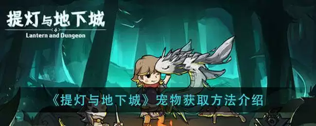 《提灯与地下城》宠物获取方法介绍