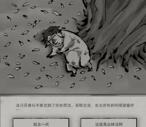 鬼谷八荒狌狌奇遇任务触发位置及完成攻略