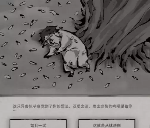 鬼谷八荒狌狌奇遇任务触发位置及完成攻略