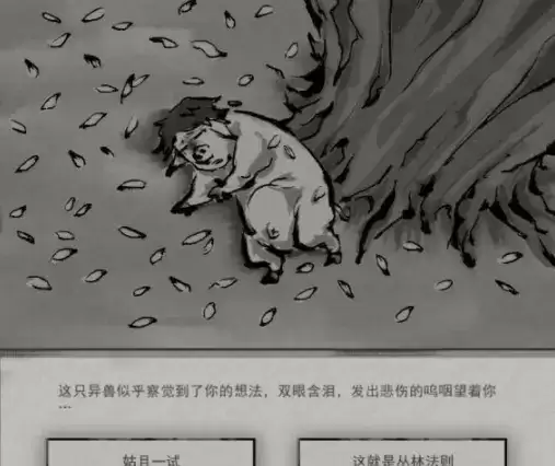 鬼谷八荒狌狌奇遇任务触发位置及完成攻略